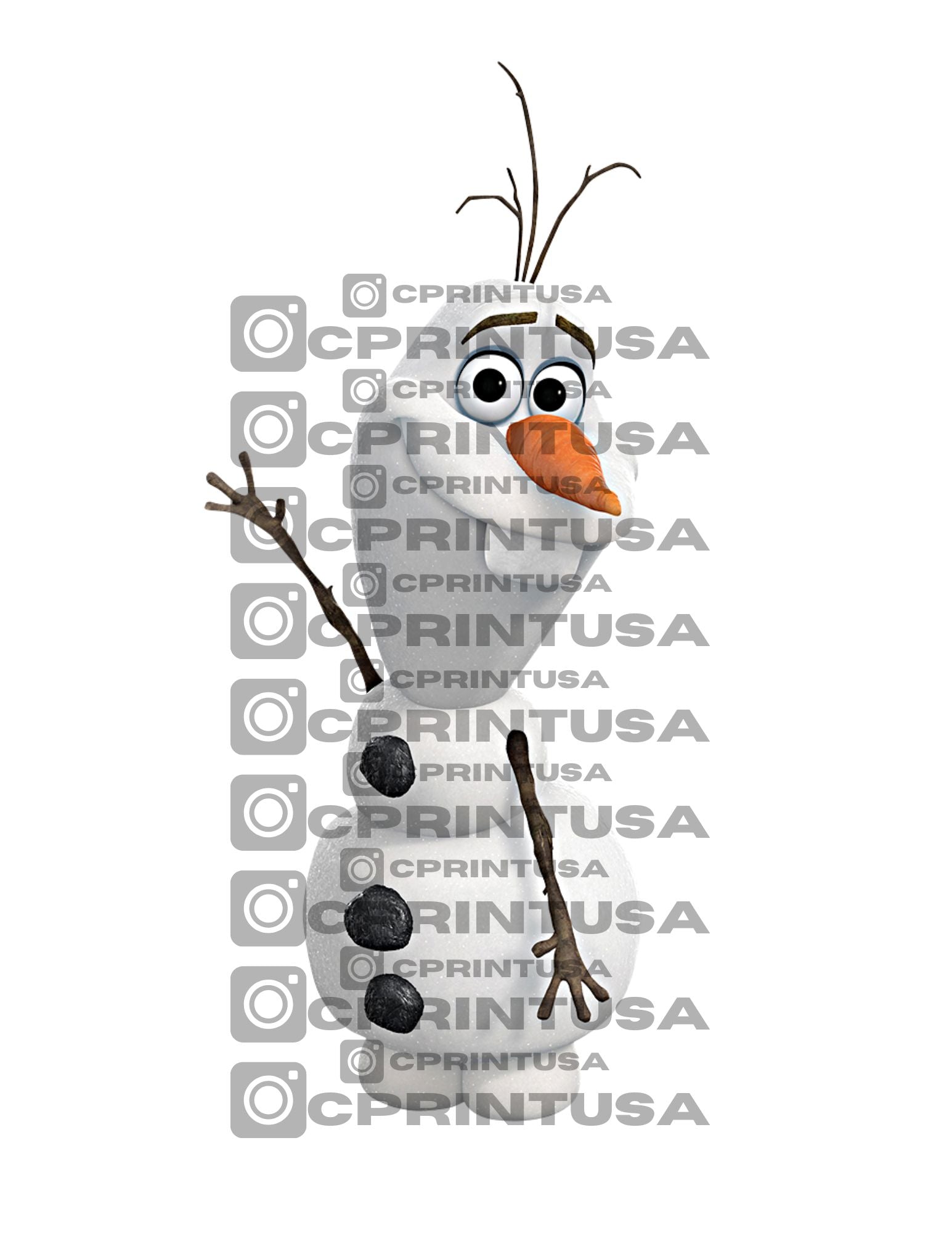 FROZEN CUT OUT - C Print USA