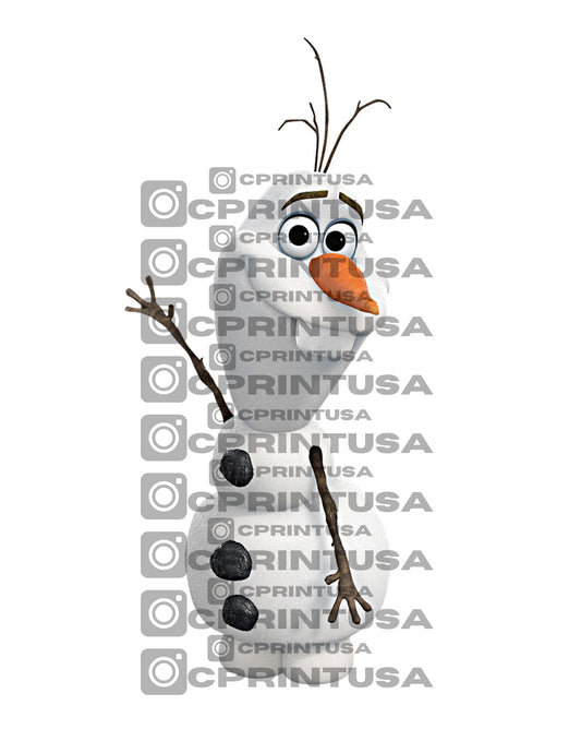 FROZEN CUT OUT - C Print USA