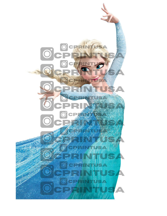FROZEN CUT OUT - C Print USA