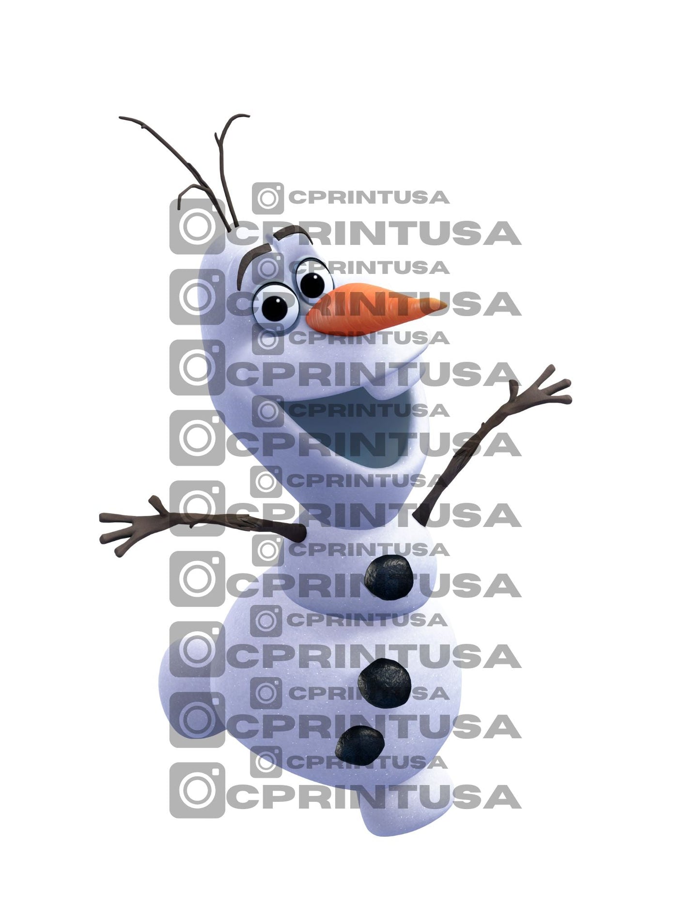 FROZEN CUT OUT - C Print USA
