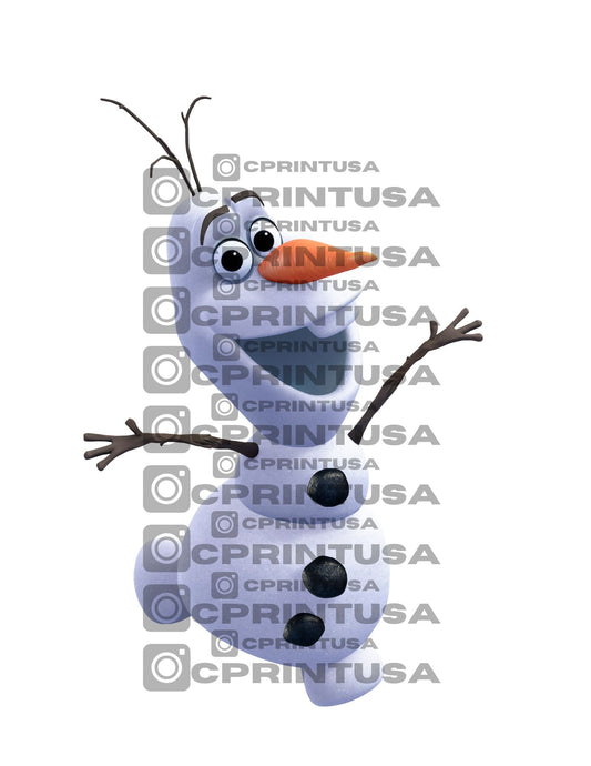 FROZEN CUT OUT - C Print USA