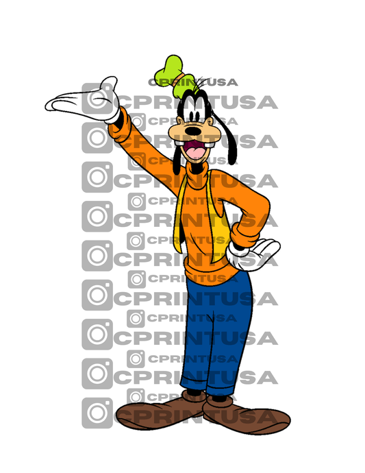GOOFY CUT OUT - C Print USA