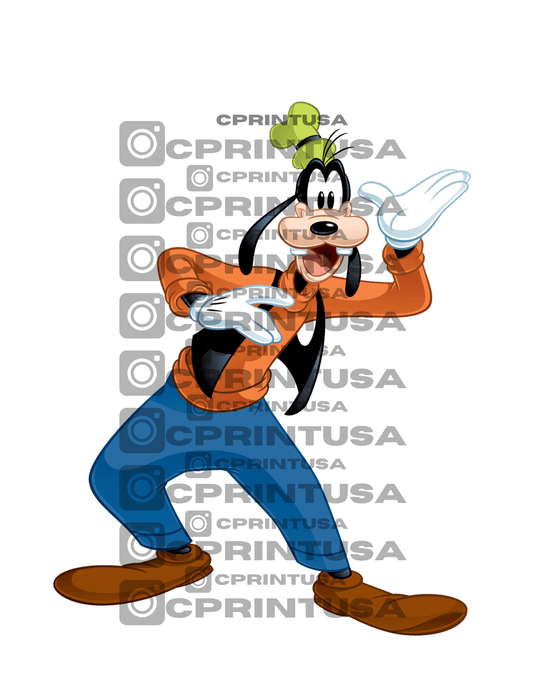 GOOFY CUT OUT - C Print USA
