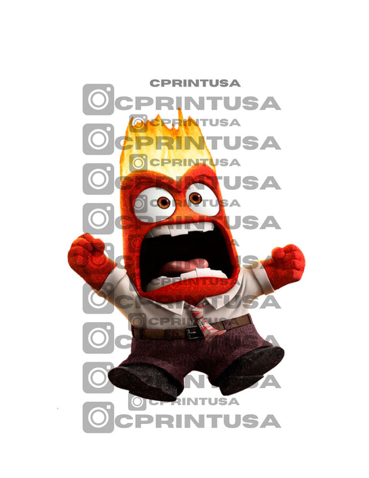 INSIDE OUT CUT OUT - C Print USA