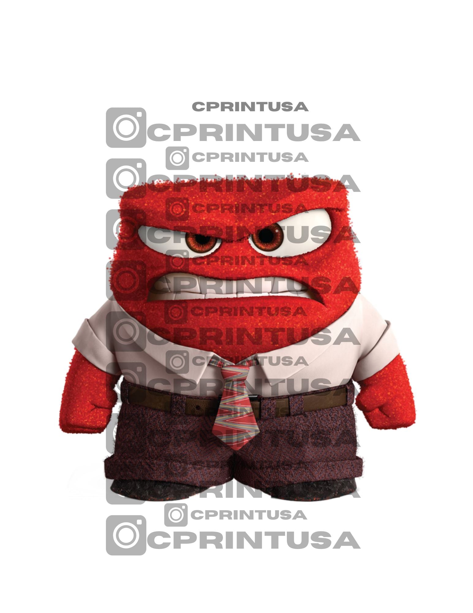 INSIDE OUT CUT OUT - C Print USA
