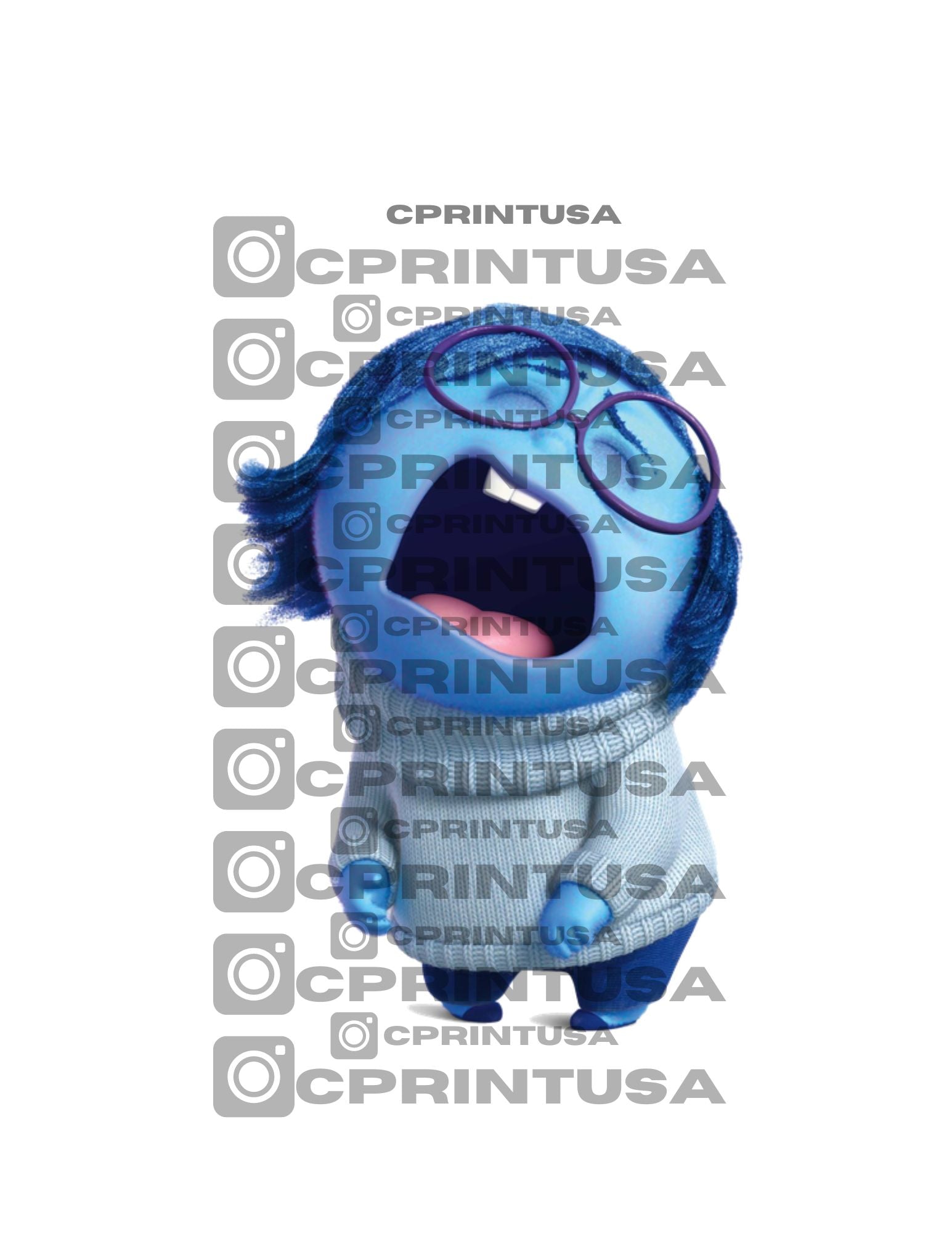 INSIDE OUT CUT OUT - C Print USA