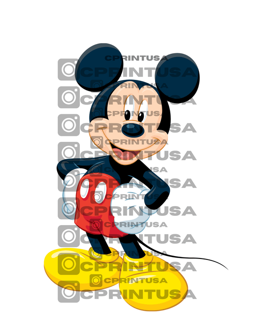 MICKEY CUT OUT - C Print USA