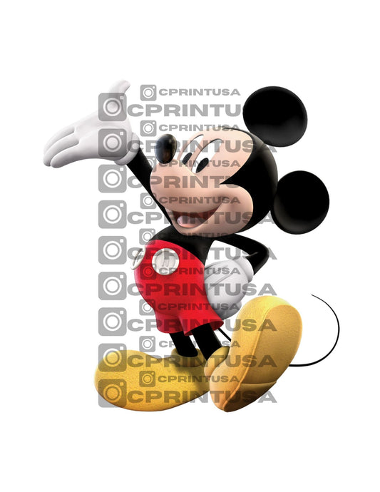 MICKEY CUT OUT - C Print USA