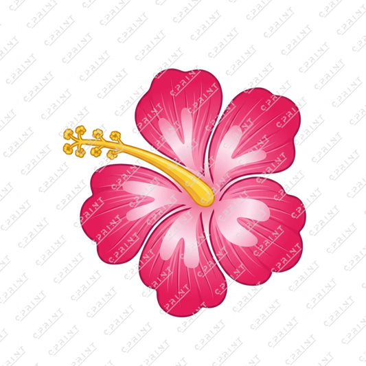MOANA CUT OUT - C Print USA