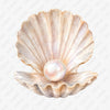 Pearl in Seashell Cutout - C Print USA