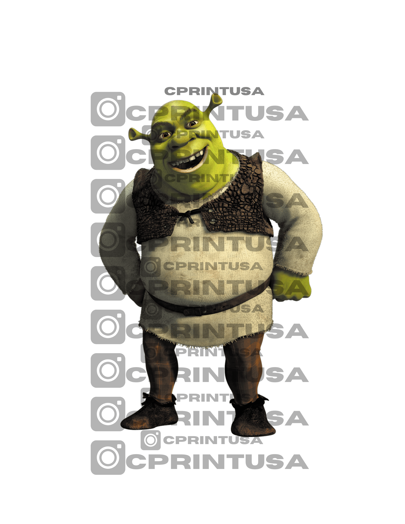 SHREK CUT OUT - C Print USA