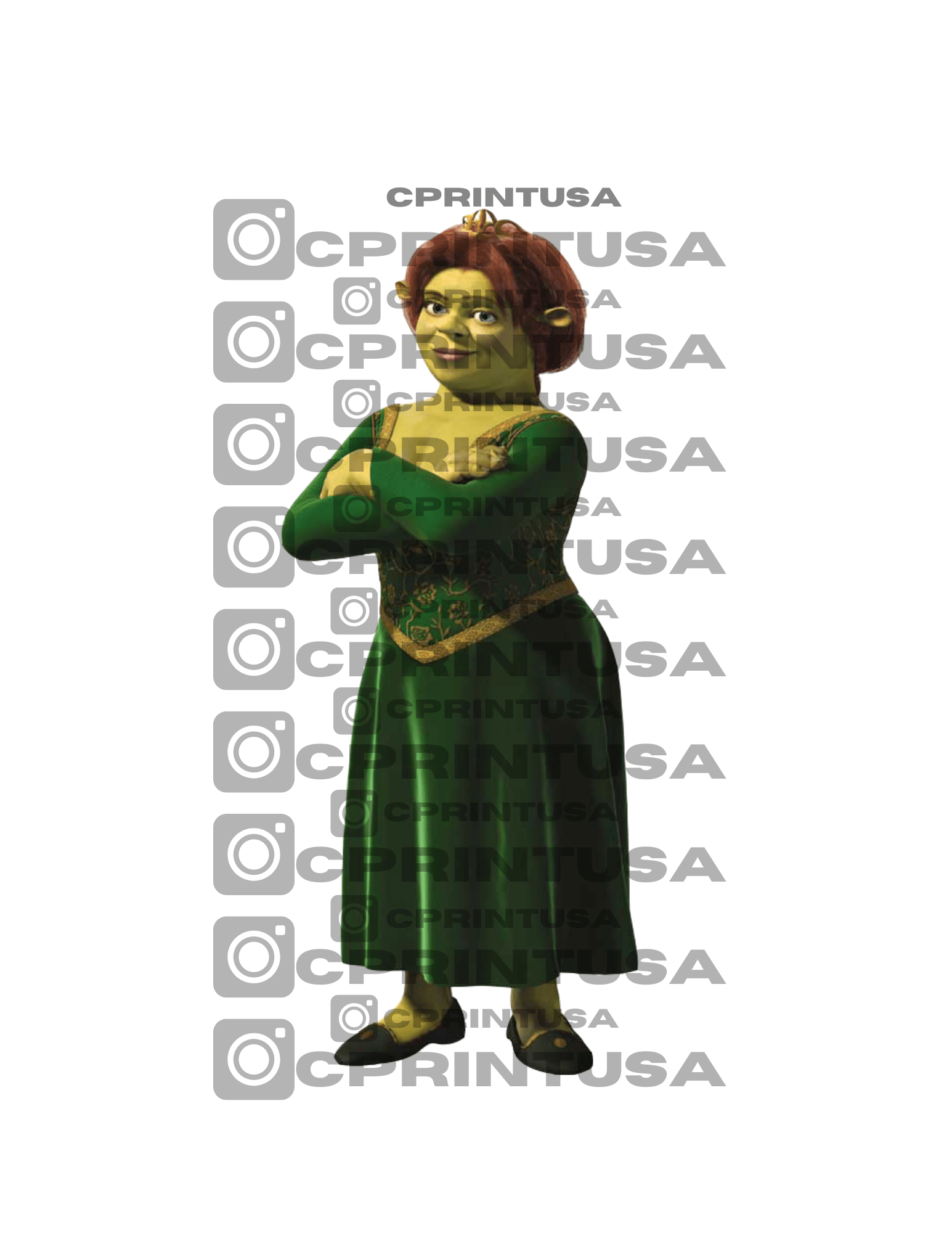 SHREK CUT OUT - C Print USA
