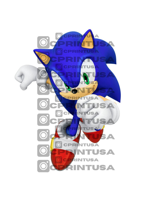 SONIC CUT OUT - C Print USA