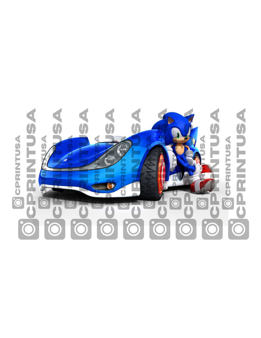 SONIC CUT OUT - C Print USA