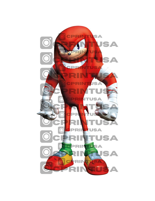 SONIC CUT OUT - C Print USA