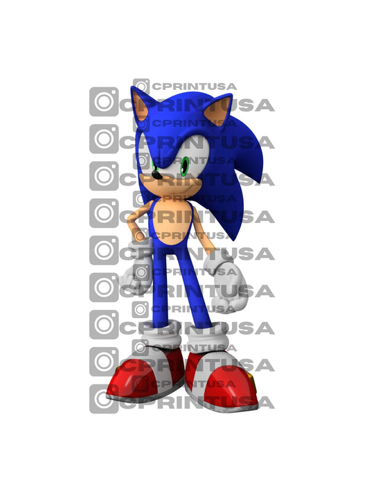 SONIC CUT OUT - C Print USA