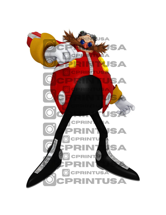 SONIC CUT OUT - C Print USA