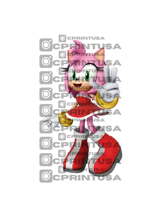 SONIC CUT OUT - C Print USA