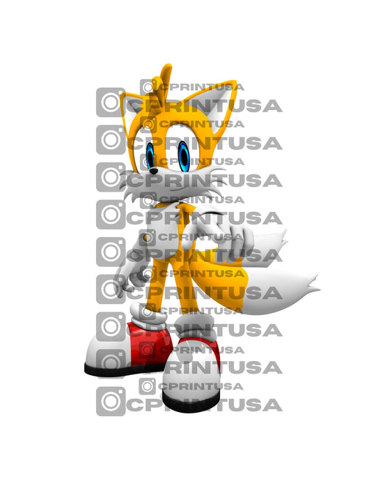 SONIC CUT OUT - C Print USA