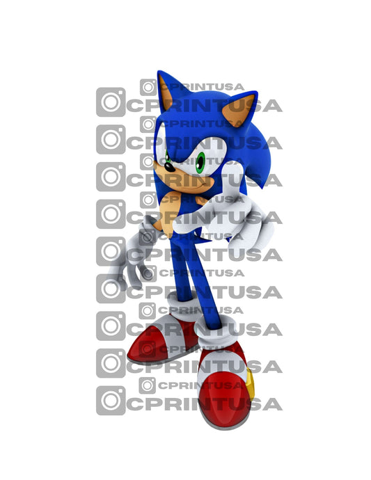 SONIC CUT OUT - C Print USA