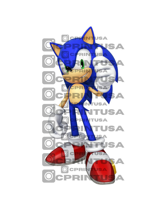 SONIC CUT OUT - C Print USA