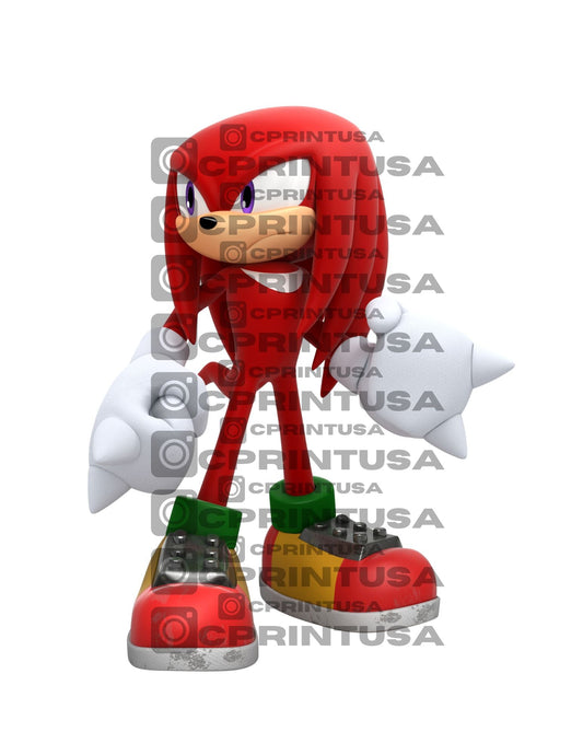 SONIC CUT OUT - C Print USA