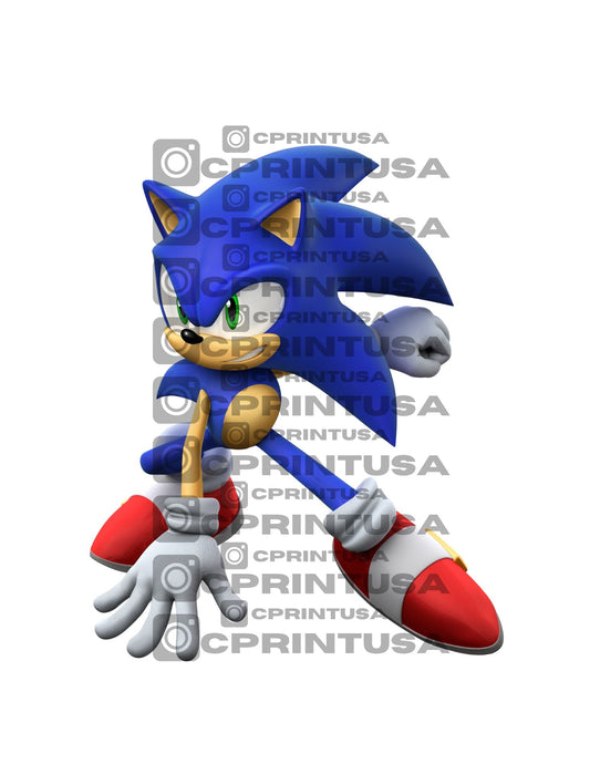 SONIC CUT OUT - C Print USA