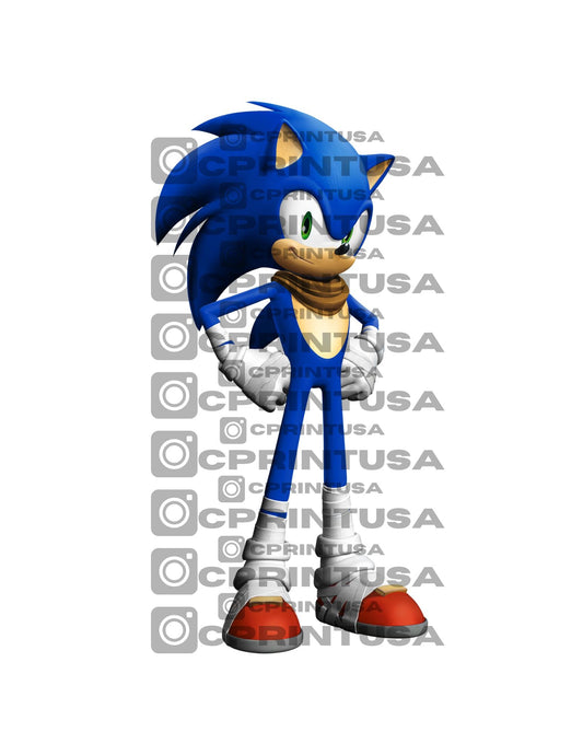 SONIC CUT OUT - C Print USA