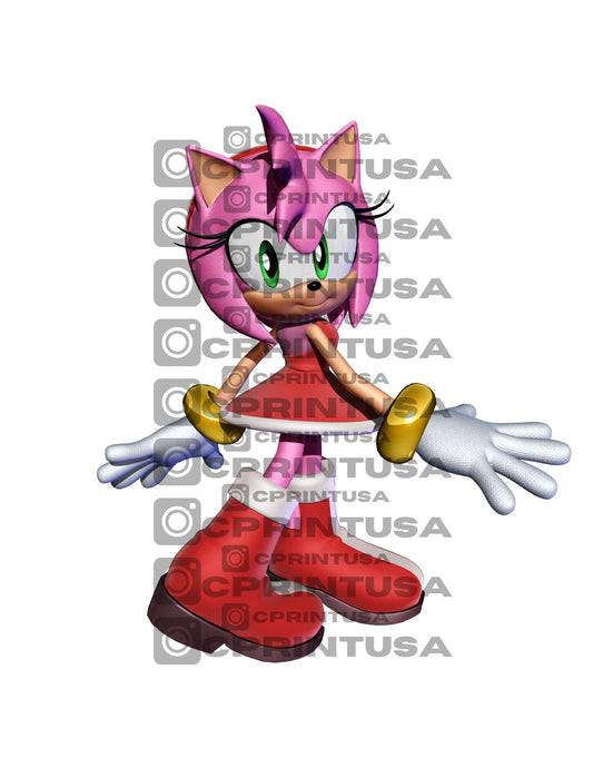 SONIC CUT OUT - C Print USA
