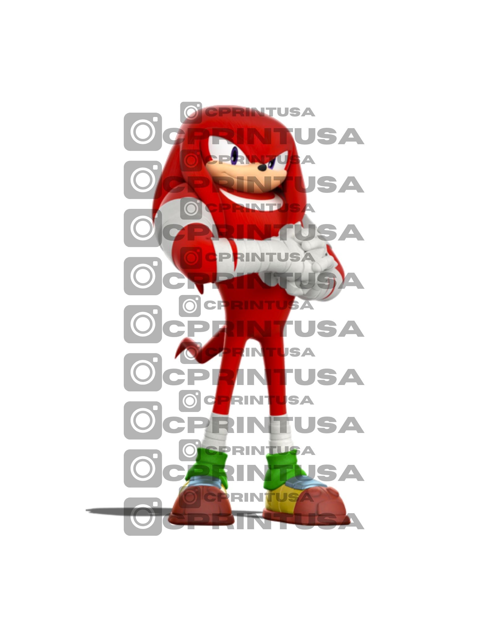 SONIC CUT OUT - C Print USA