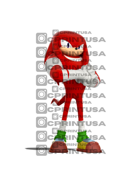 SONIC CUT OUT - C Print USA