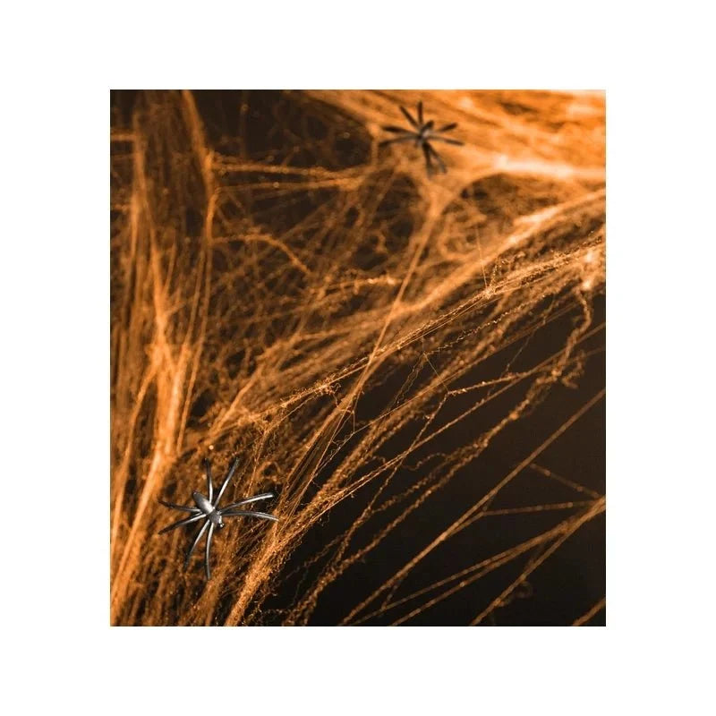 Spiderweb Halloween, Orange - PH60-005