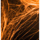 Spiderweb Halloween, Orange - PH60-005 - C Print USA