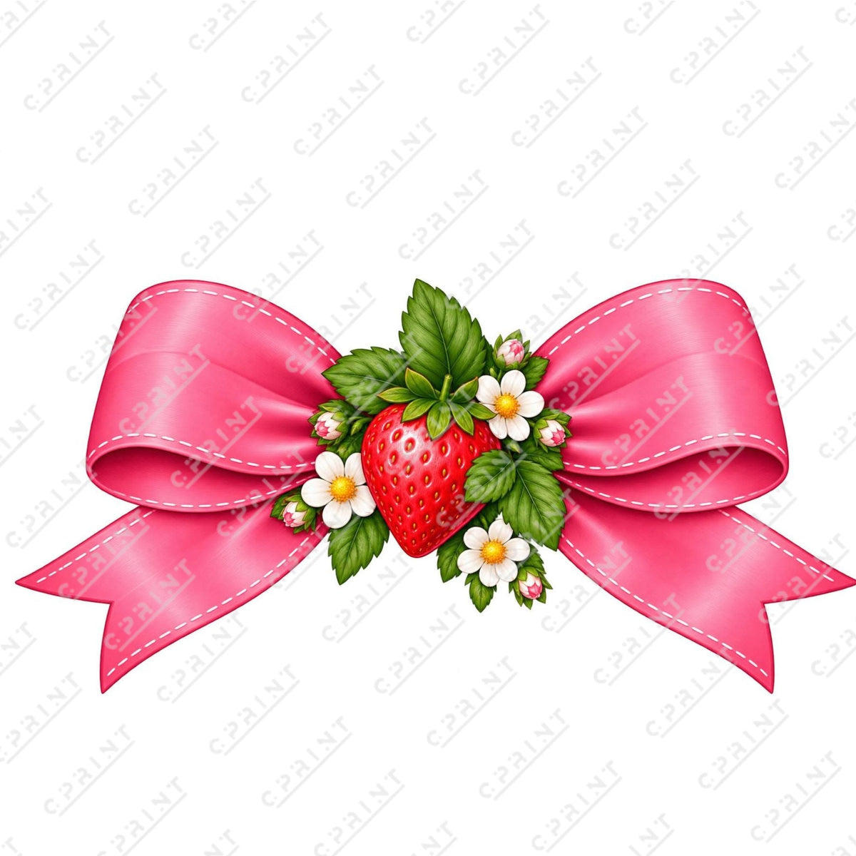 STRAWBERRY SHORTCAKE CUT OUT - C Print USA