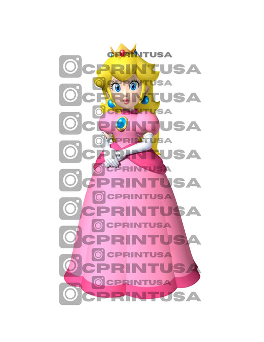 SUPER MARIO CUT OUT - C Print USA