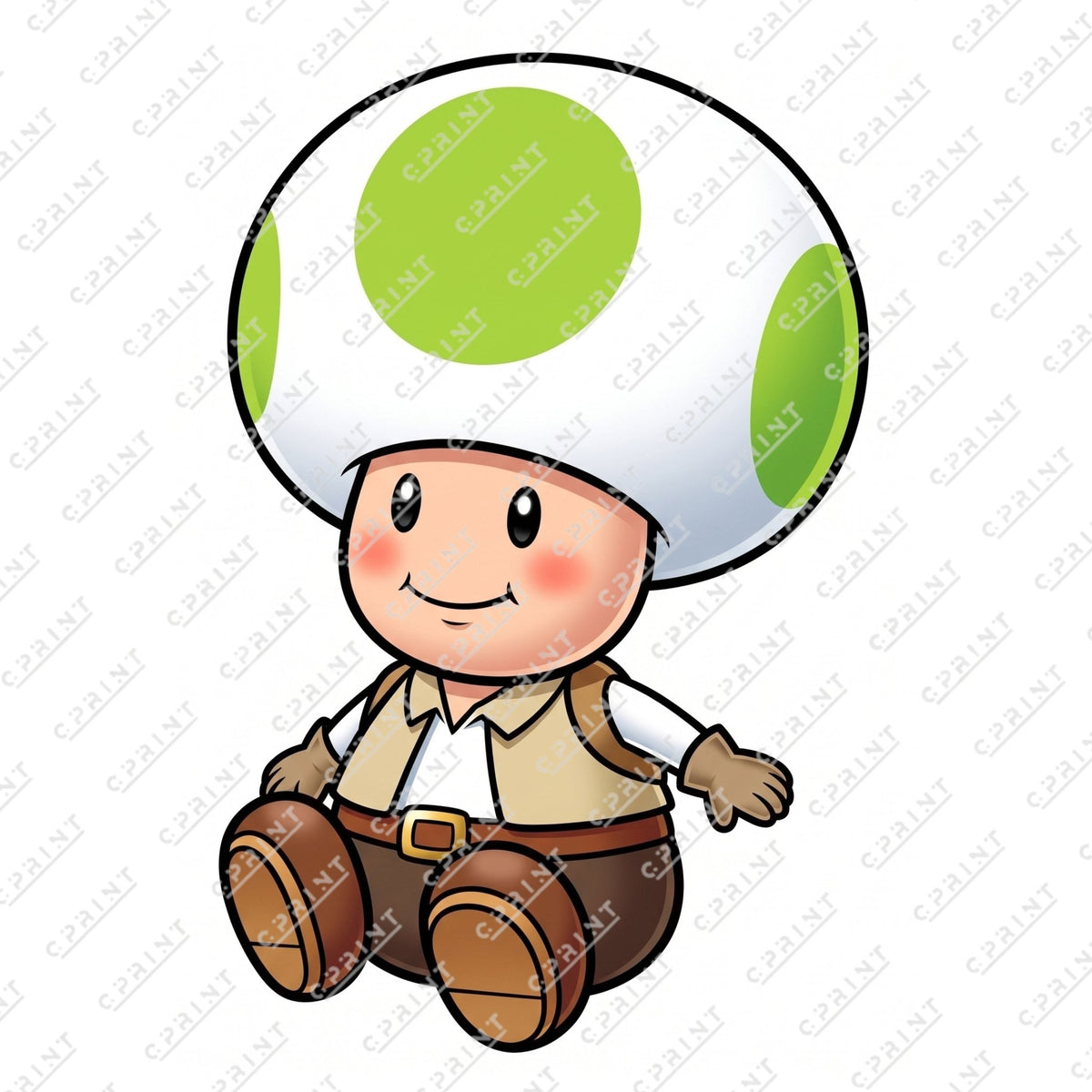SUPER MARIO GALAXY - CHARACTER - C Print USA