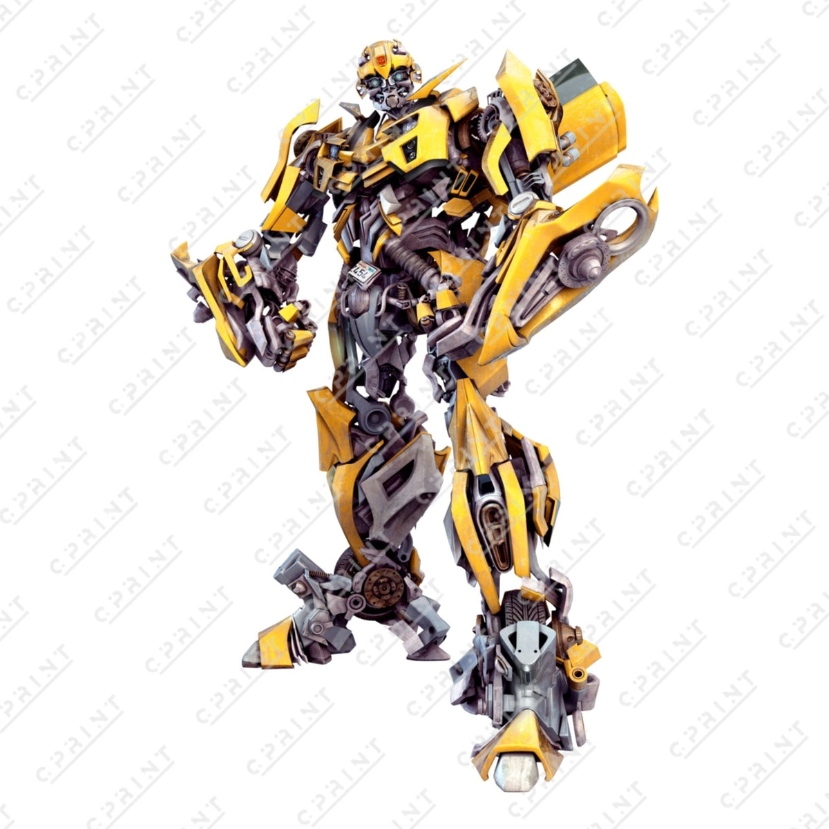 Transformers Cutout - C Print USA