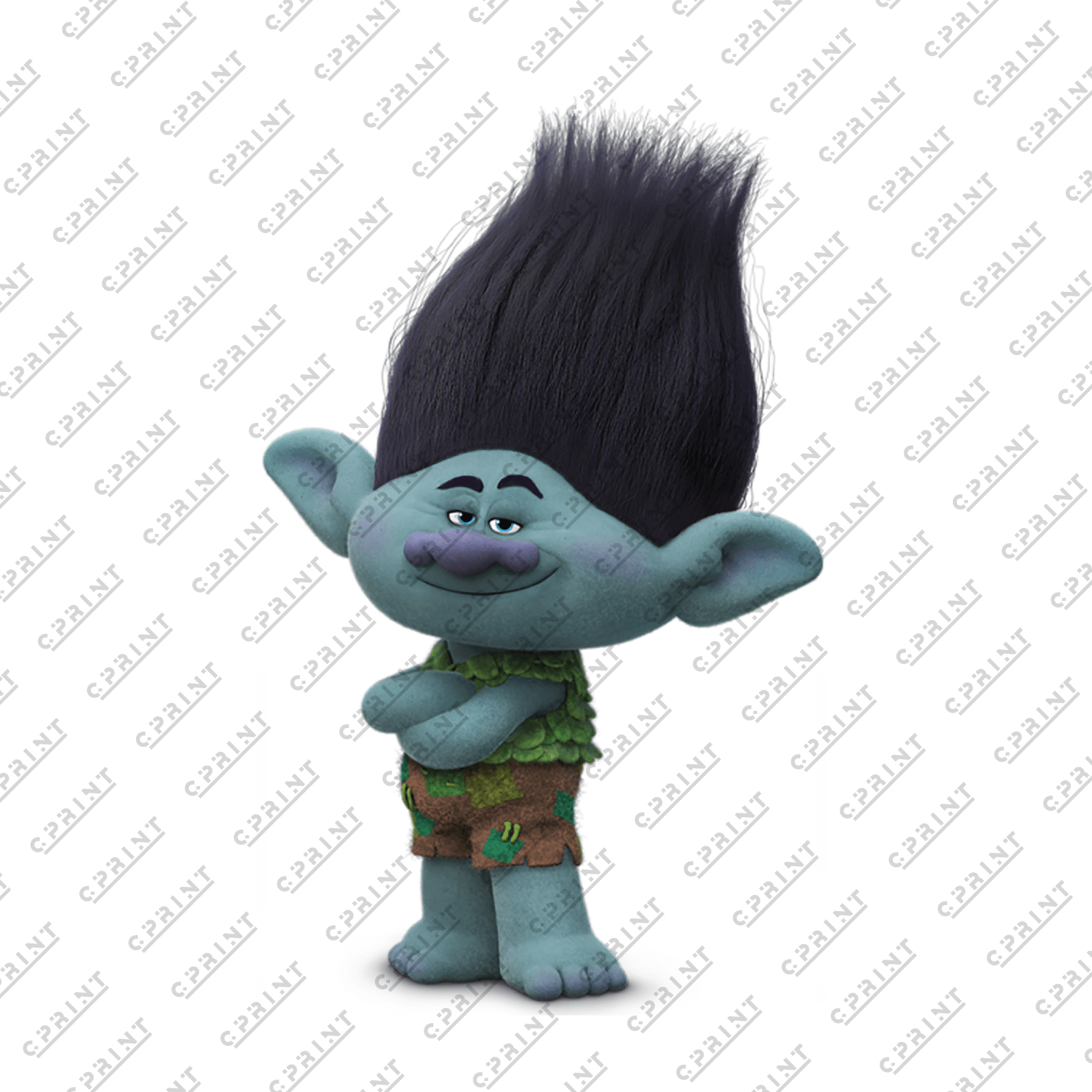 Trolls Character Branch - C Print USA