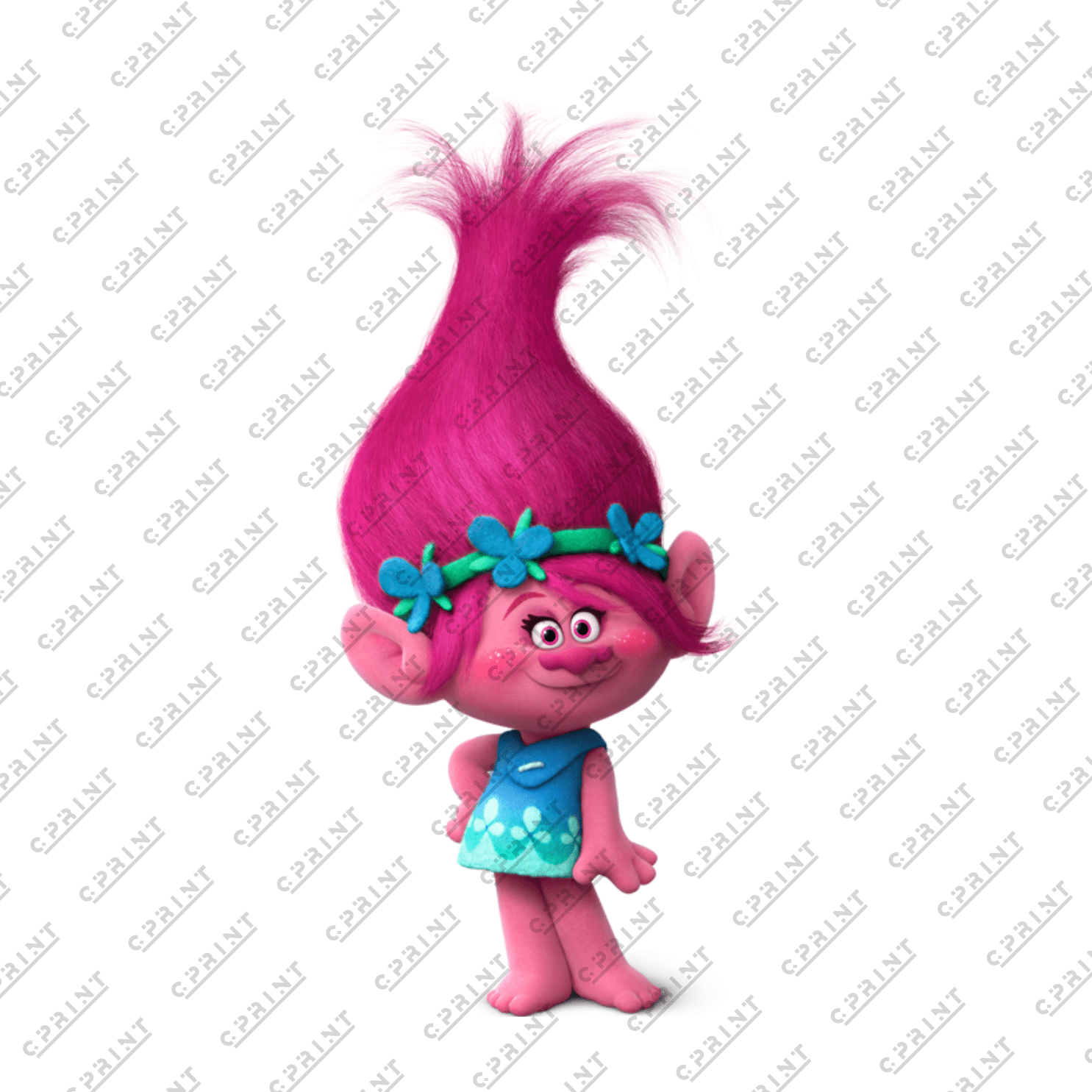 Trolls Character Poppi - C Print USA